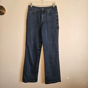 Prana Tukino Wide Leg Dark Wash Carpenter Jeans, Sz 6/32